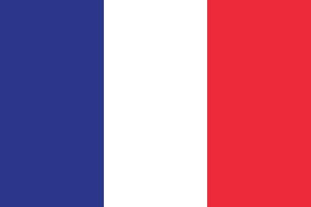 Official vector flag of France . French Republic 